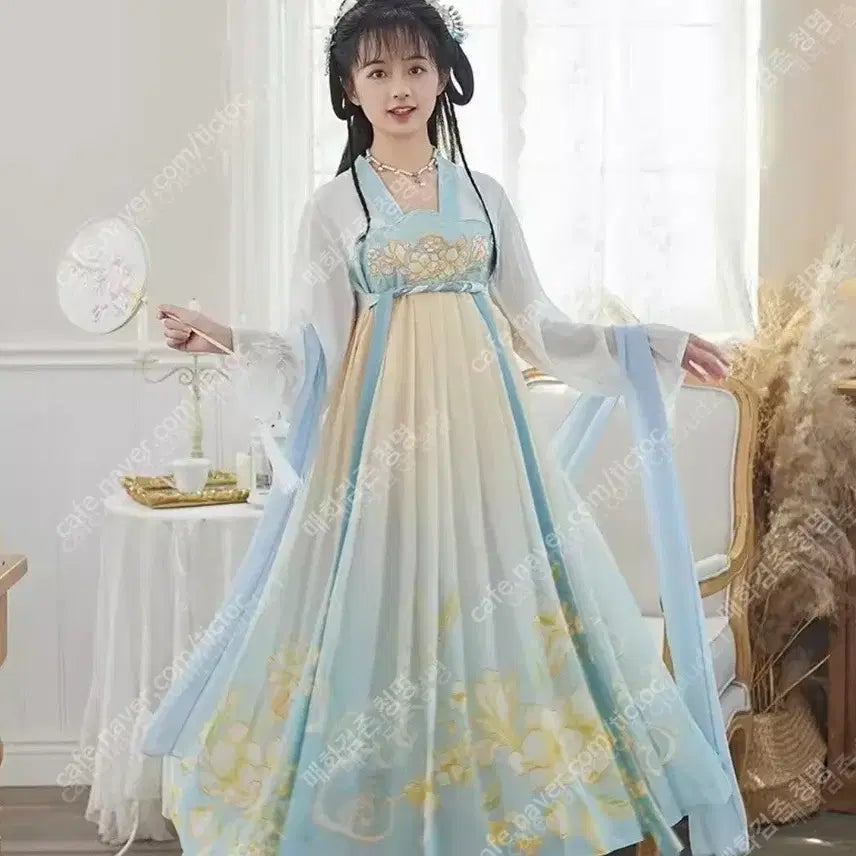 [BUNJANG] Hanfu Traditional Chinese Style Dress (2XL, New) / [판매/신품] 한푸 2XL사이즈 (고전,중국풍,선녀옷,코스프레)