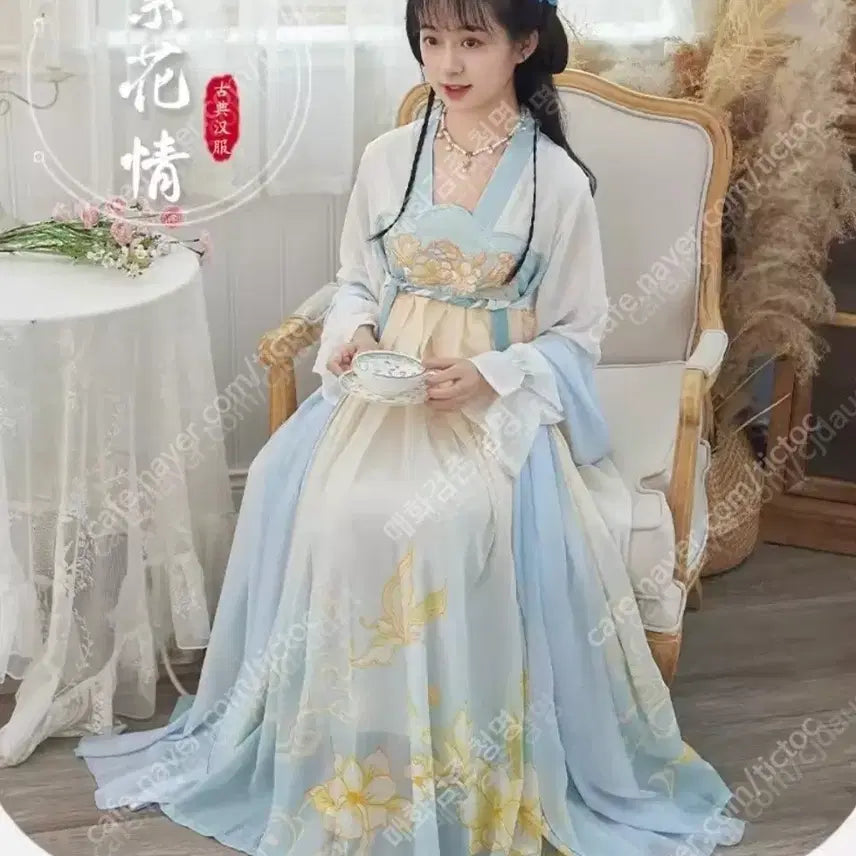[BUNJANG] Hanfu Traditional Chinese Style Dress (2XL, New) / [판매/신품] 한푸 2XL사이즈 (고전,중국풍,선녀옷,코스프레)