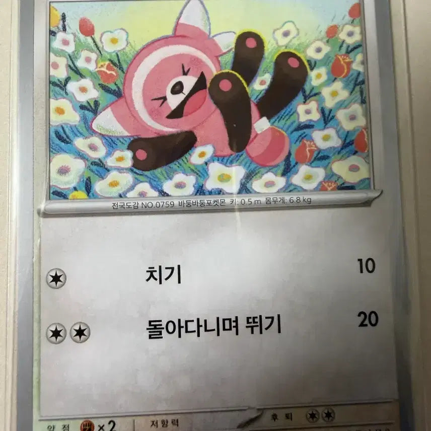 [BUNJANG] Pokemon Card - Bear Character Illustration / 포곰곰 포켓몬 카드