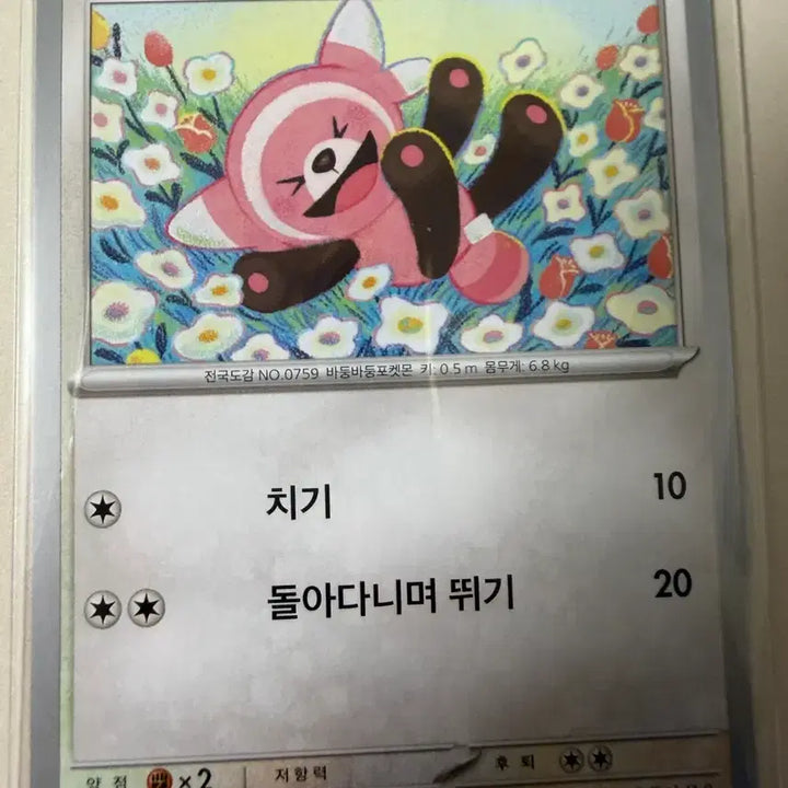 [BUNJANG] Pokemon Card - Bear Character Illustration / 포곰곰 포켓몬 카드