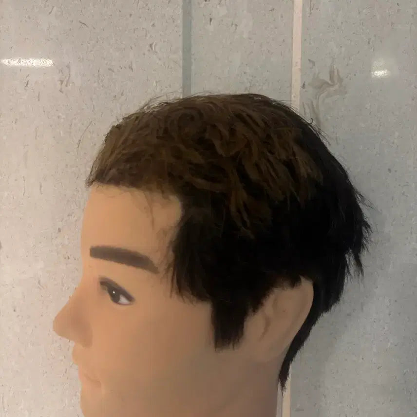 [BUNJANG] Cheonhyein Human Hair Wig / 이용사 천혜인 인모 통가발