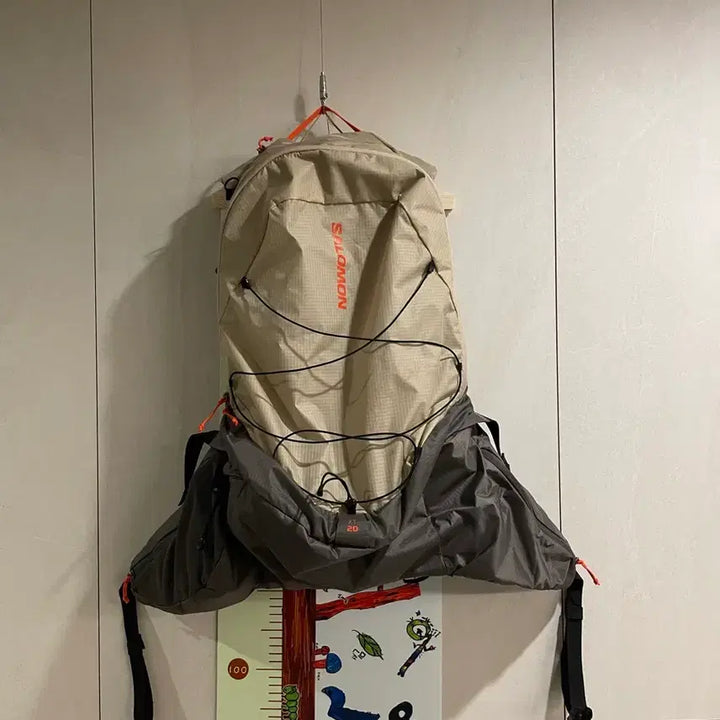 [BUNJANG] Salomon XT15 Backpack Feather Grey / 살로몬 xt15 백팩 페더그레이