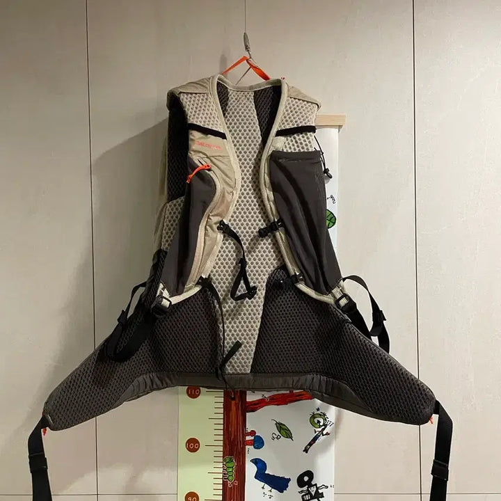 [BUNJANG] Salomon XT15 Backpack Feather Grey / 살로몬 xt15 백팩 페더그레이