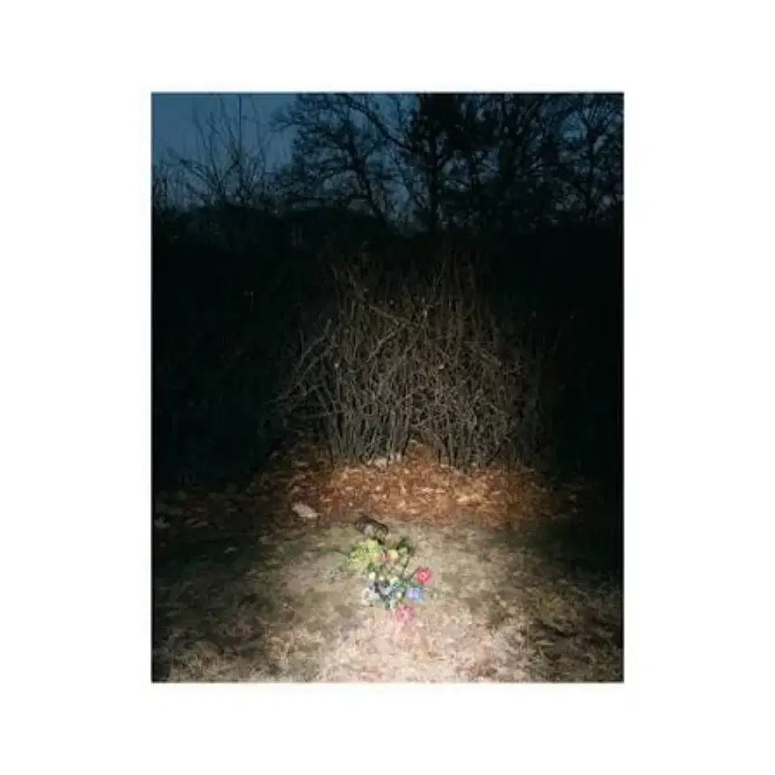 [BUNJANG] Ohio Rabbit Album / 오하이오래빗 덤 CD