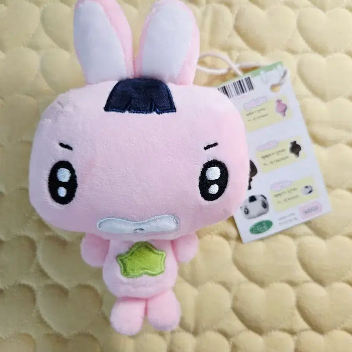 [BUNJANG] Kim Moyang Artist Rabbit Plush / (택o) 김모양군 작가님 김가루 토끼인형