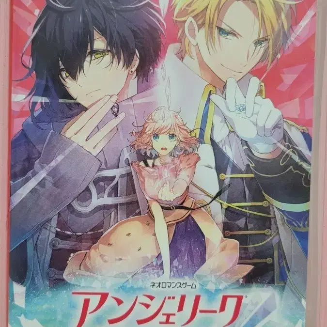 [BUNJANG] Nintendo Switch Angelique Luminarise Game Software / 닌텐도 스위치 앤젤리크 루미나라이즈 게임 소프트