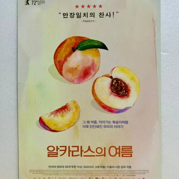 [BUNJANG] Alcarràs (2022) A5 Movie Pamphlet / [영화전단지/영화엽서] (A5 1장) 알카라스의 여름 (2022)