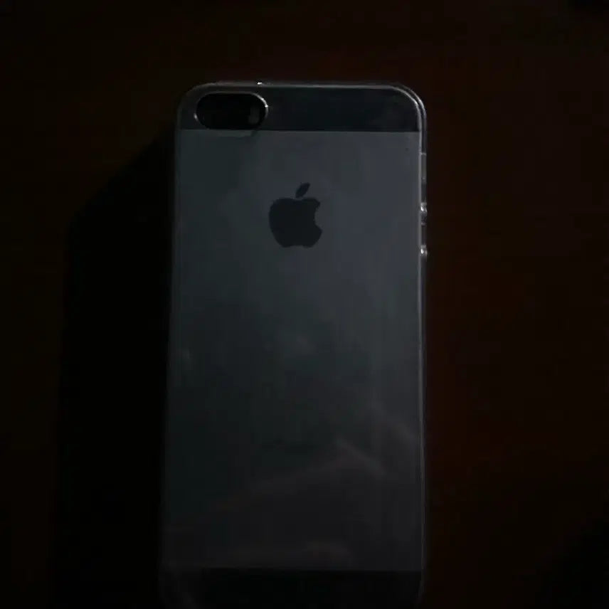 [BUNJANG] Apple iPhone SE / 아이폰 se