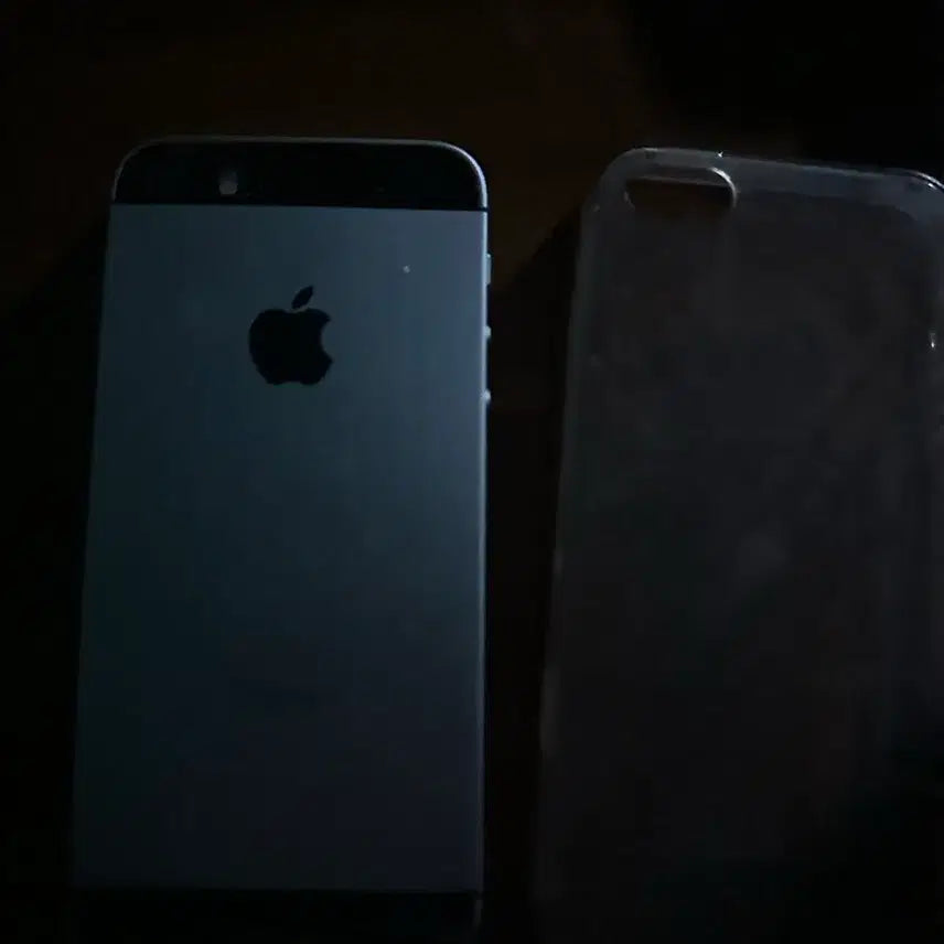 [BUNJANG] Apple iPhone SE / 아이폰 se