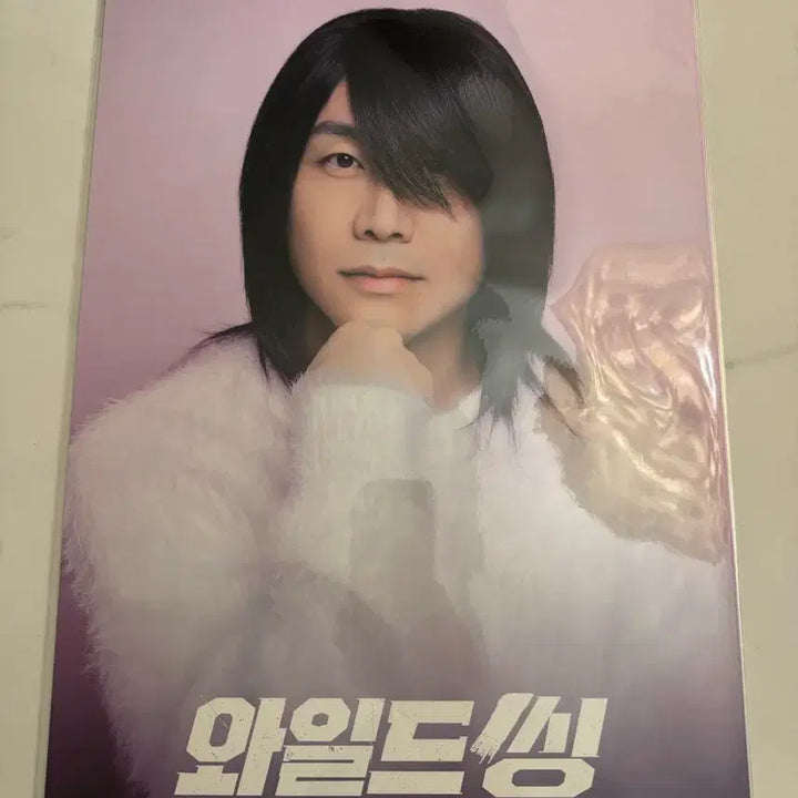 [BUNJANG] Wild Things Choi Seong-gon Oh Jung-se Poster / 와일드 씽 최성곤 오정세 포스터