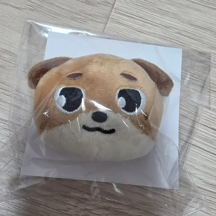 [BUNJANG] Day6 Japan Goods Don Badge / 데이식스 일본굿즈 뱃지 돈
