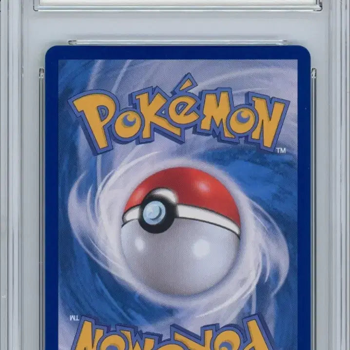 [BUNJANG] Pokemon Card Pikachu EX SAR BRG 10 / 포켓몬카드 피카츄 EX SAR BRG 10