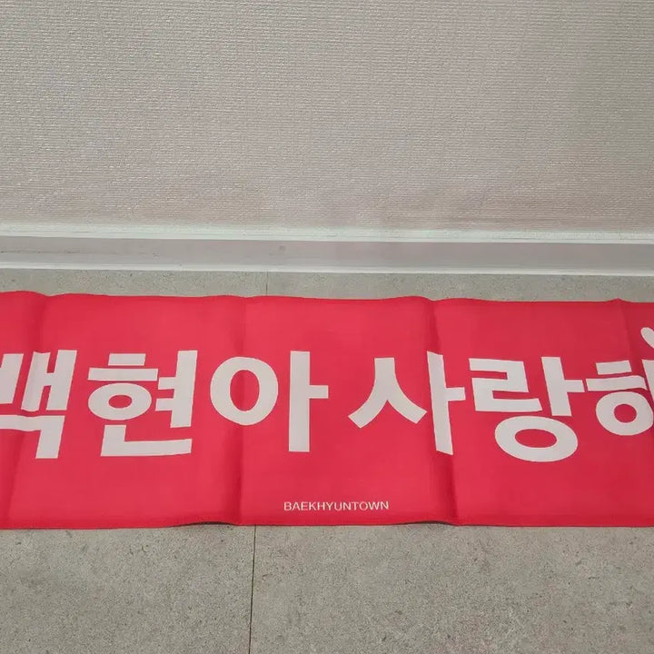 [BUNJANG] Baekhyun Lightstick Reflective Slogan / 백현마을 백현이ver 라잇건 반사 슬로건
