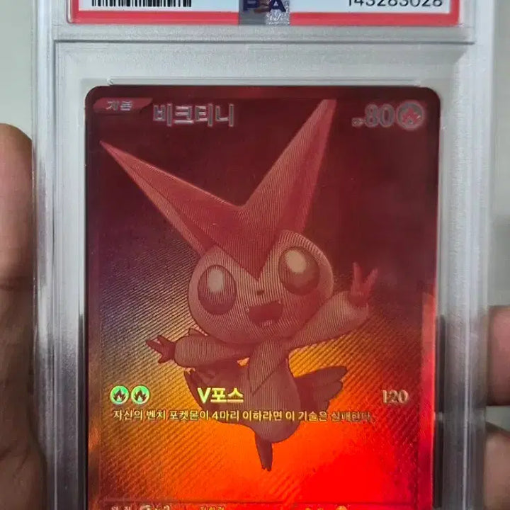 [BUNJANG] Pokemon Victini PSA 9 BWR Event Prize Card / 포켓몬 비크티니 psa 9 입니다