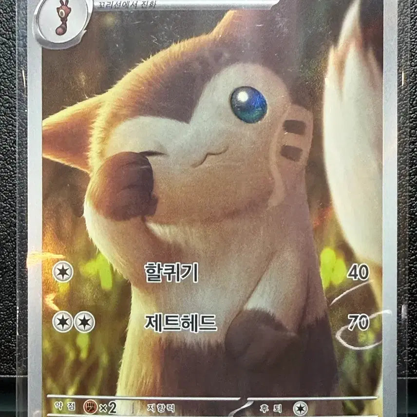 [SOLD OUT] 포켓몬카드 다꼬리 AR