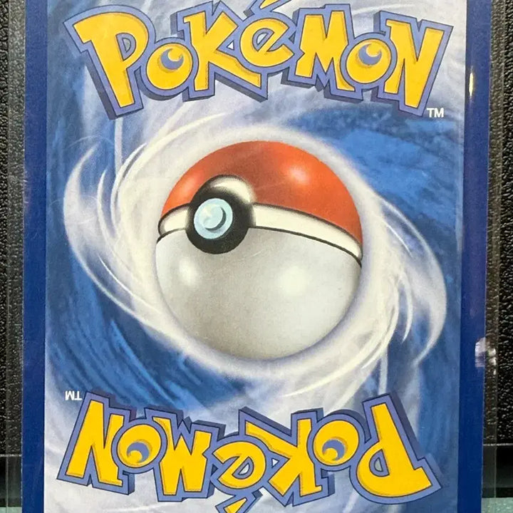 [SOLD OUT] 포켓몬카드 다꼬리 AR