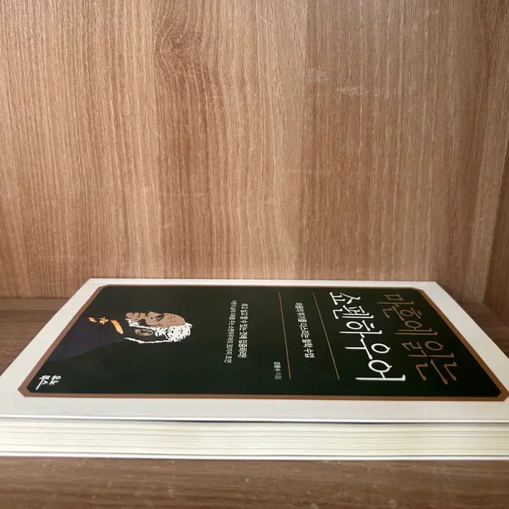 [BUNJANG] Schopenhauer at Forty / 마흔에 읽는 쇼펜하우어