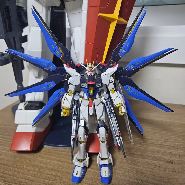 [BUNJANG] RG Strike Freedom Gundam Assembled Model Kit / [RG] 스트라이크 프리덤 건담 조립품 프라모델