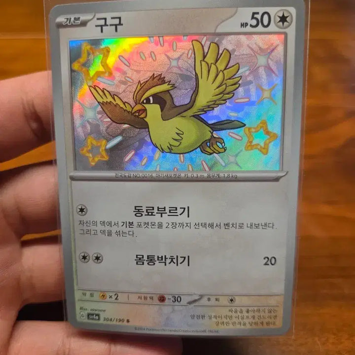 [BUNJANG] GooGoo Shiny Error Card - Shiny Pidgey Holo / 구구 이로치 에러카드 S급