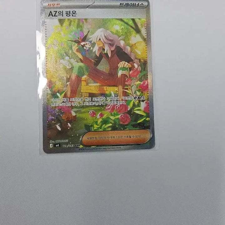 [BUNJANG] Pokemon Card Az&