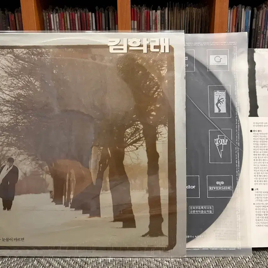 [BUNJANG] Kim Hak Rae - Sky / (LP) 김학래 - 하늘이여