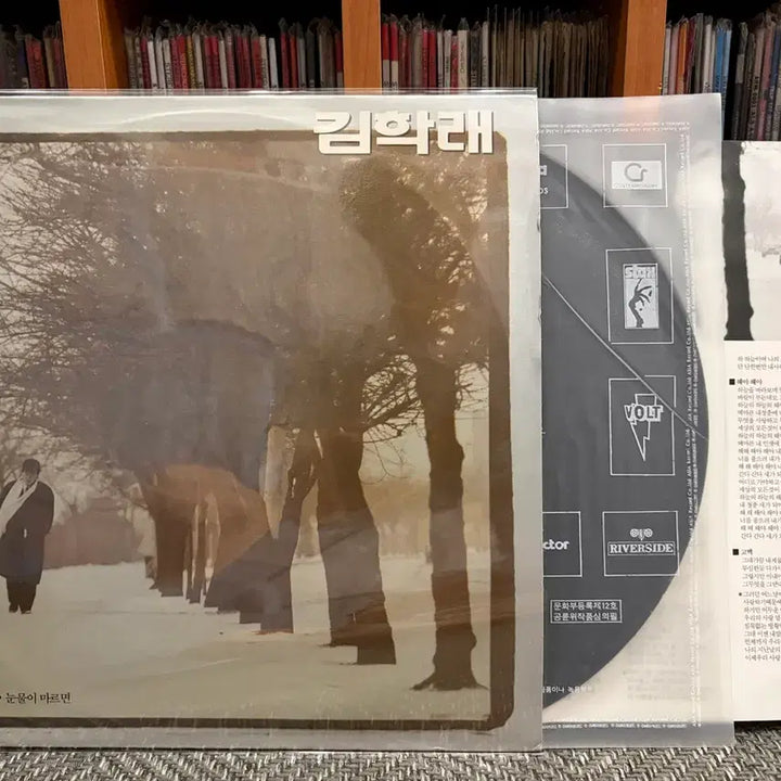 [BUNJANG] Kim Hak Rae - Sky / (LP) 김학래 - 하늘이여