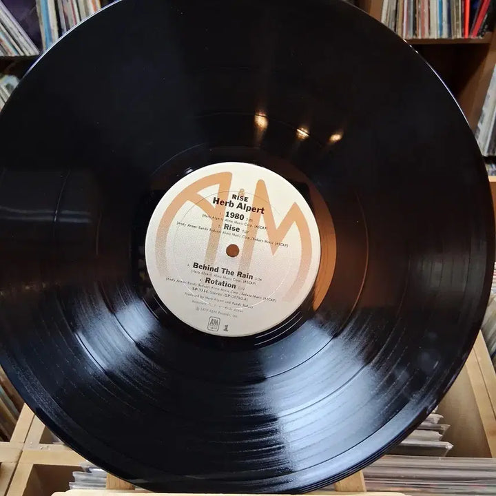 [BUNJANG] Herb Alpert RISE Fusion Jazz LP / 퓨전 재즈 명반 허브 알퍼트 RISE LP