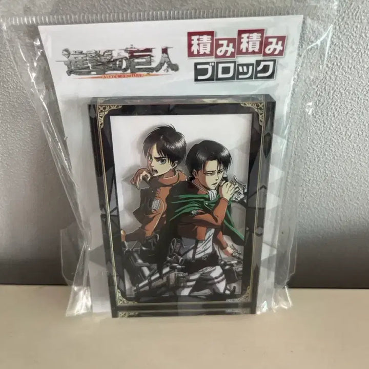 [BUNJANG] Eren Acrylic Block Set / 오늘만))에렌 아크릴 블럭 2종 일괄