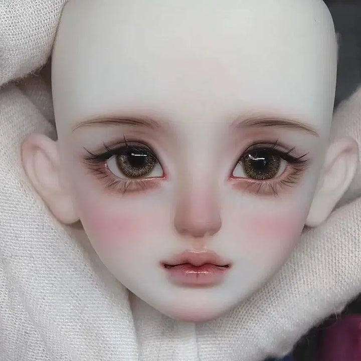 [SOLD OUT] 구관 msd 미아백 헤드 구체관절인형