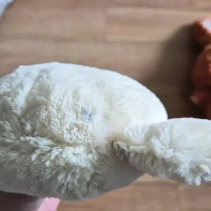 [BUNJANG] Sina Friends Droplet Nuts Plush / 시나프렌즈 방울 넛츠 팝니다