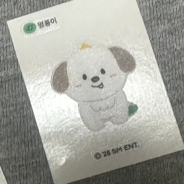 [BUNJANG] RIIZE CU Bread Sticker 47 Anton "Meongryong" / 라이즈 CU 씨유 빵 띠부띠부씰 47번 멍룡이 앤톤 양도