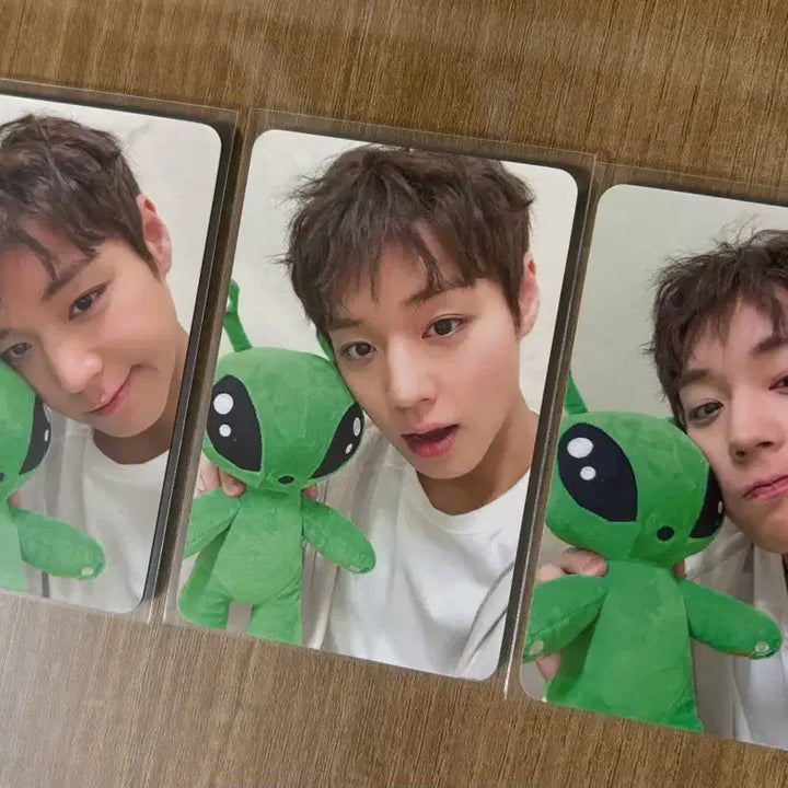 [SOLD OUT] 박지훈 사웨 왹져후니 미공포 포카 일괄