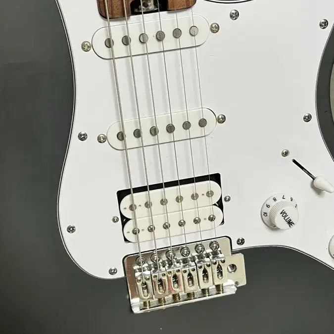 [BUNJANG] Hex E100 Electric Guitar / 헥스 e100 일렉기타