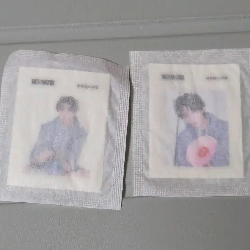 [BUNJANG] BOYNEXTDOOR Home Collection Yunhak Dibbo Seal Bundle Set / 보넥도 홈 운학 띠부씰 양도