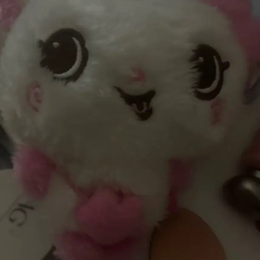 [BUNJANG] NCT WISH Wish Doll Sakuya (Pang Yi) / 엔시티위시 위시돌 팡이 사쿠야