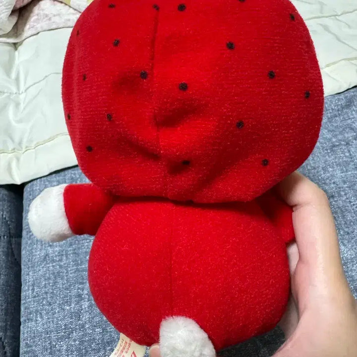 [BUNJANG] Hello Kitty Strawberry Doll / 헬로키티 딸기 인형 판매중
