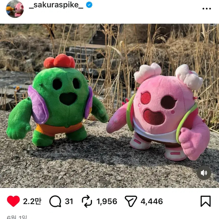 [BUNJANG] Brawl Stars Spike Plush / 구매)스파이크, 벚꽃스파이크 인형