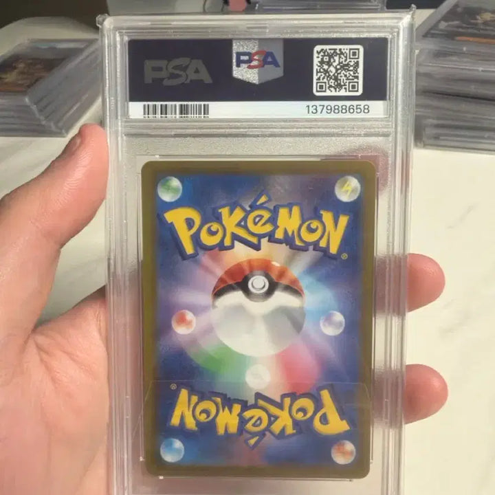 [BUNJANG] Pokemon SV7 JP Terapagos ex Special Art Rare (SAR) PSA 10 / 2024 포켓몬 SV7 JP 테라파고스 ex 스페셜 SAR 10