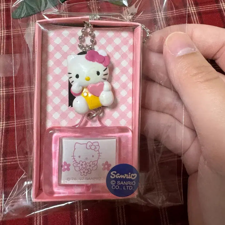 [BUNJANG] Vintage Hello Kitty Mini Frame Keychain / 고전 헬로키티 미니 액자 키링 판매중 미개봉