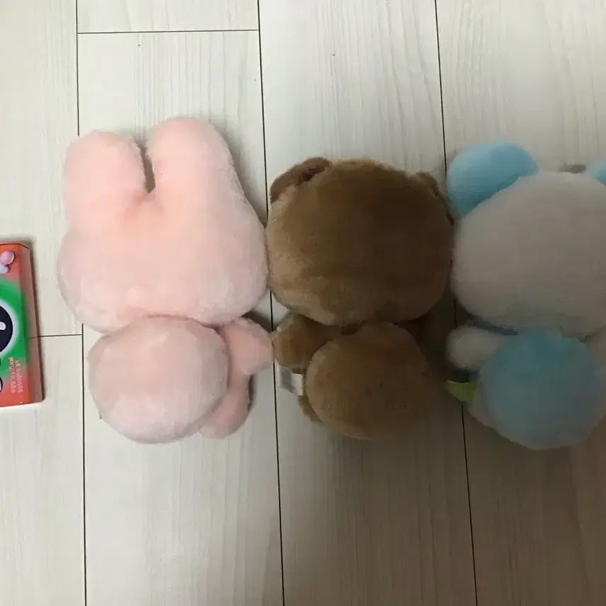 [BUNJANG] Sututanchi Bundle Set / 스쿠토타치상 일괄판매