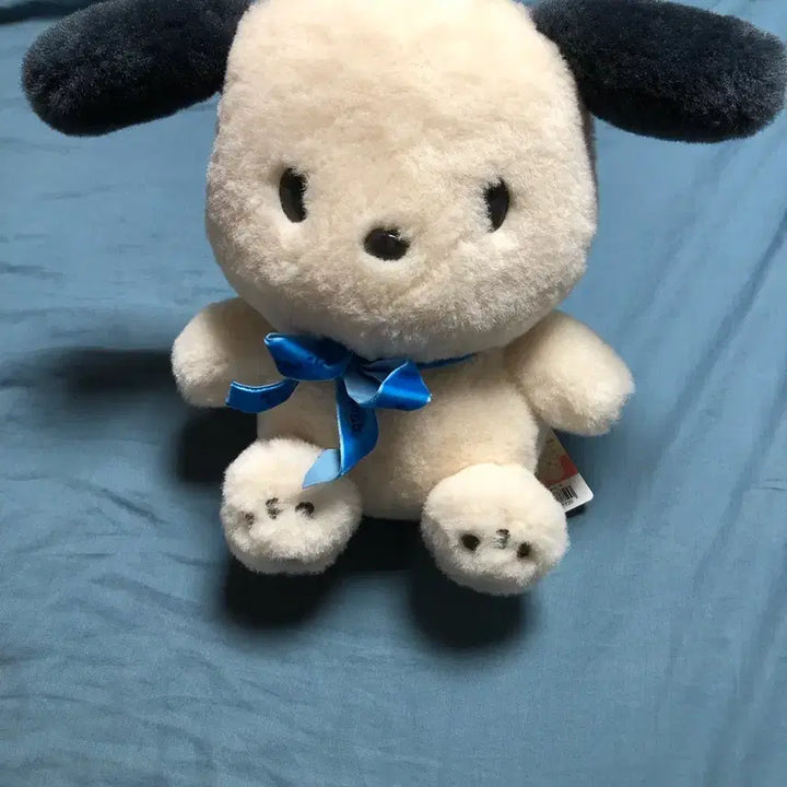[BUNJANG] Sanrio Pochacco Doll Blue Ribbon / 산리오 포차코 인형 파란리본(새상품)