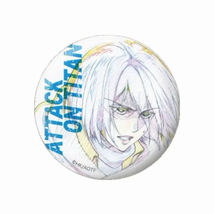 [BUNJANG] Attack on Titan Mikasa Acrylic Standee / 진격의 거인 미카사 캔뱃지