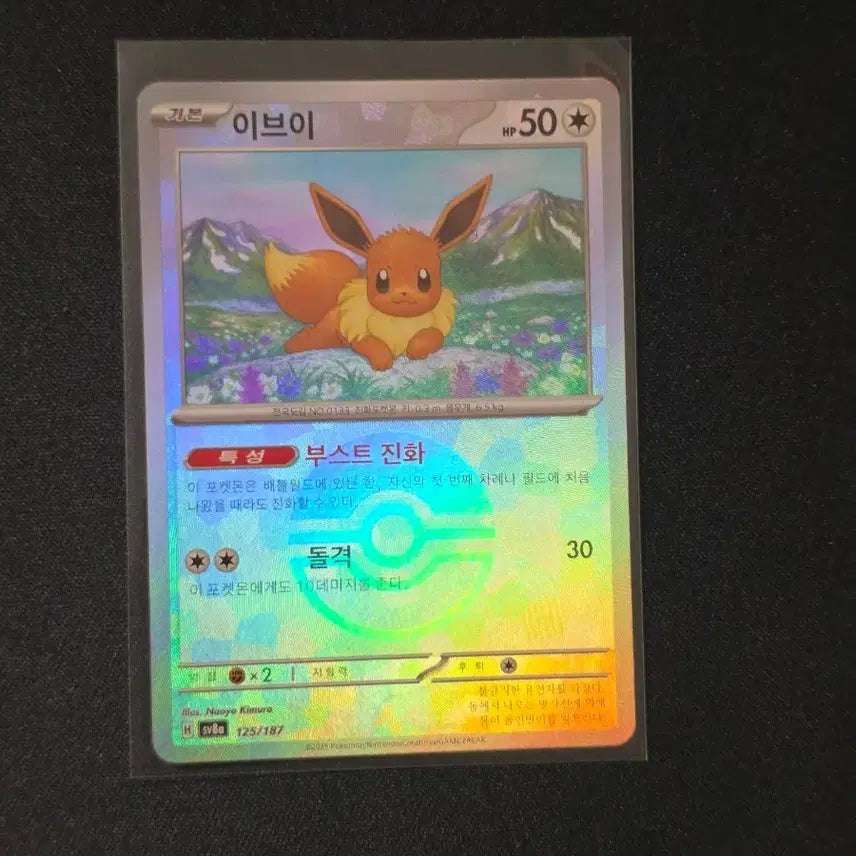 [BUNJANG] Pokemon Card Eevee Monster Ball / 포켓몬 카드 이브이 몬볼 (몬스터볼)