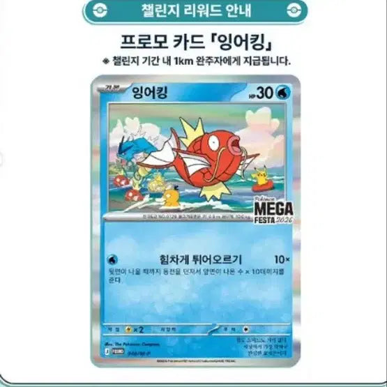 [BUNJANG] Pokemon Magikarp Promo Card / 포켓몬 카드 잉어킹 프로모 카드