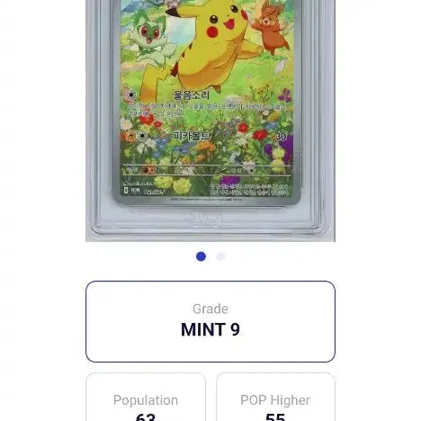 [BUNJANG] Pokemon Card Summer Pikachu BRG 9 (Present Box) / 포켓몬카드 여름피카츄 카드 brg9등급 (프레젠트박스)