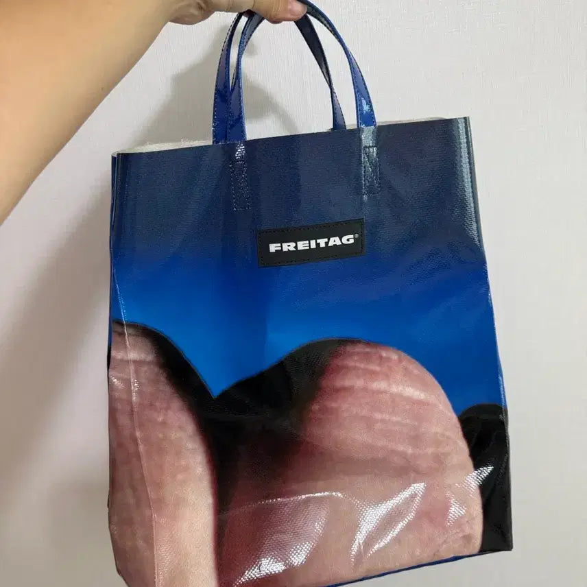 [BUNJANG] Freitag Miami Vice Messenger Bag / 거의 새상품급) 프라이탁 마이애미 바이스