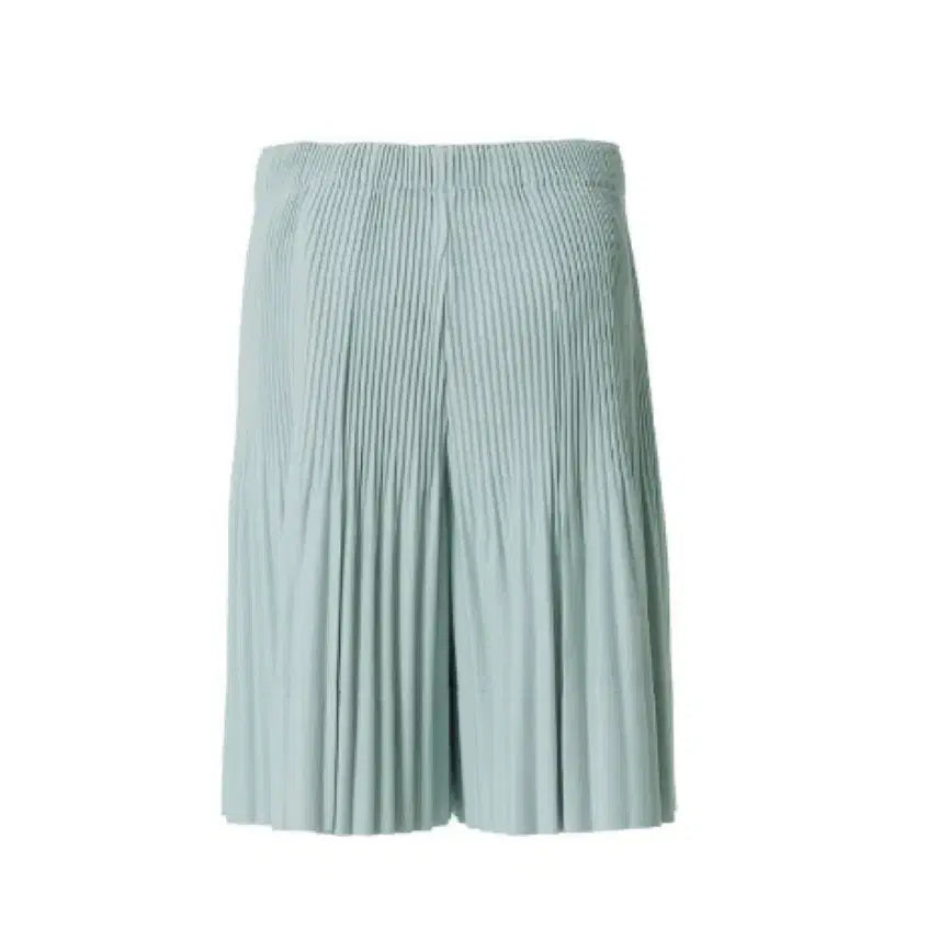 [BUNJANG] Homme Plissé Issey Miyake Monthly Color Shorts JF064 Moss Ash / 옴므플리세 먼슬리 컬러 반바지JF064 판매합니다.