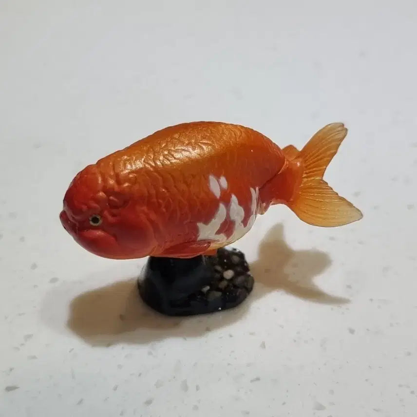 [BUNJANG] Kaiyodo Furuta Choco Egg Ranchan Goldfish Figure / 카이요도 후루타 초코에그 란주 피규어 금붕어 관상어 피규어
