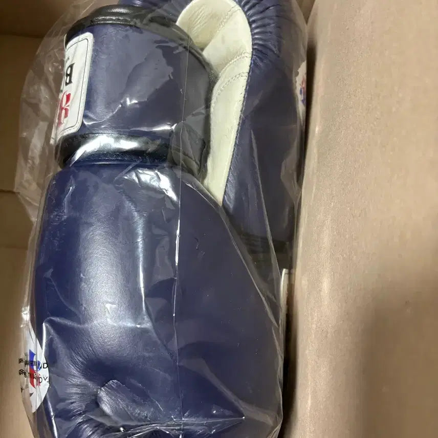 [BUNJANG] Isami 10oz Leather Boxing Gloves / 이사미 글러브 10온스 새상품