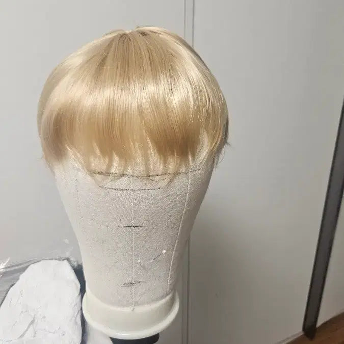[BUNJANG] Platinum Blonde Wig / 백금발 가발